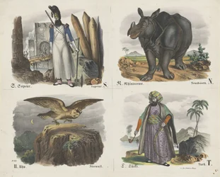 Letters S, R, U en T, Bilder A B C / Buch. / Prenten A B / Boek (serietitel op object)