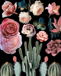 Cactussen, bloemen, bloesems, botanisch