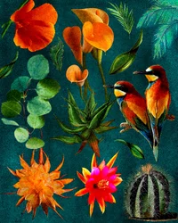 Tropische vogels en bloemen