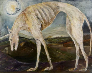 Gotische Hond, 2017