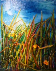 Wilde iris waterslang, 2017