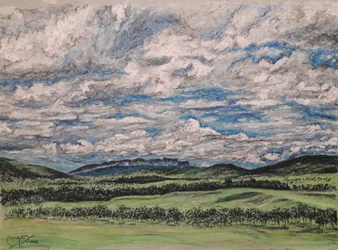 De Grote Savanne Venezuela