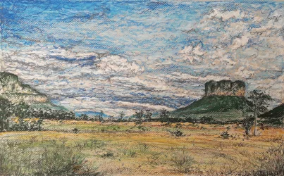 De Grote Savanne Venezuela