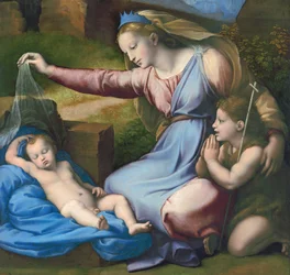Madonna met de blauwe diadeem